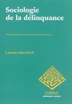 Sociologie de la délinquance